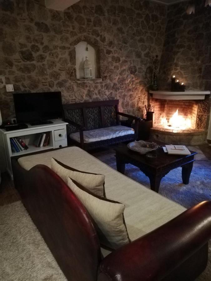 Ampolis Guest House Arachova Extérieur photo